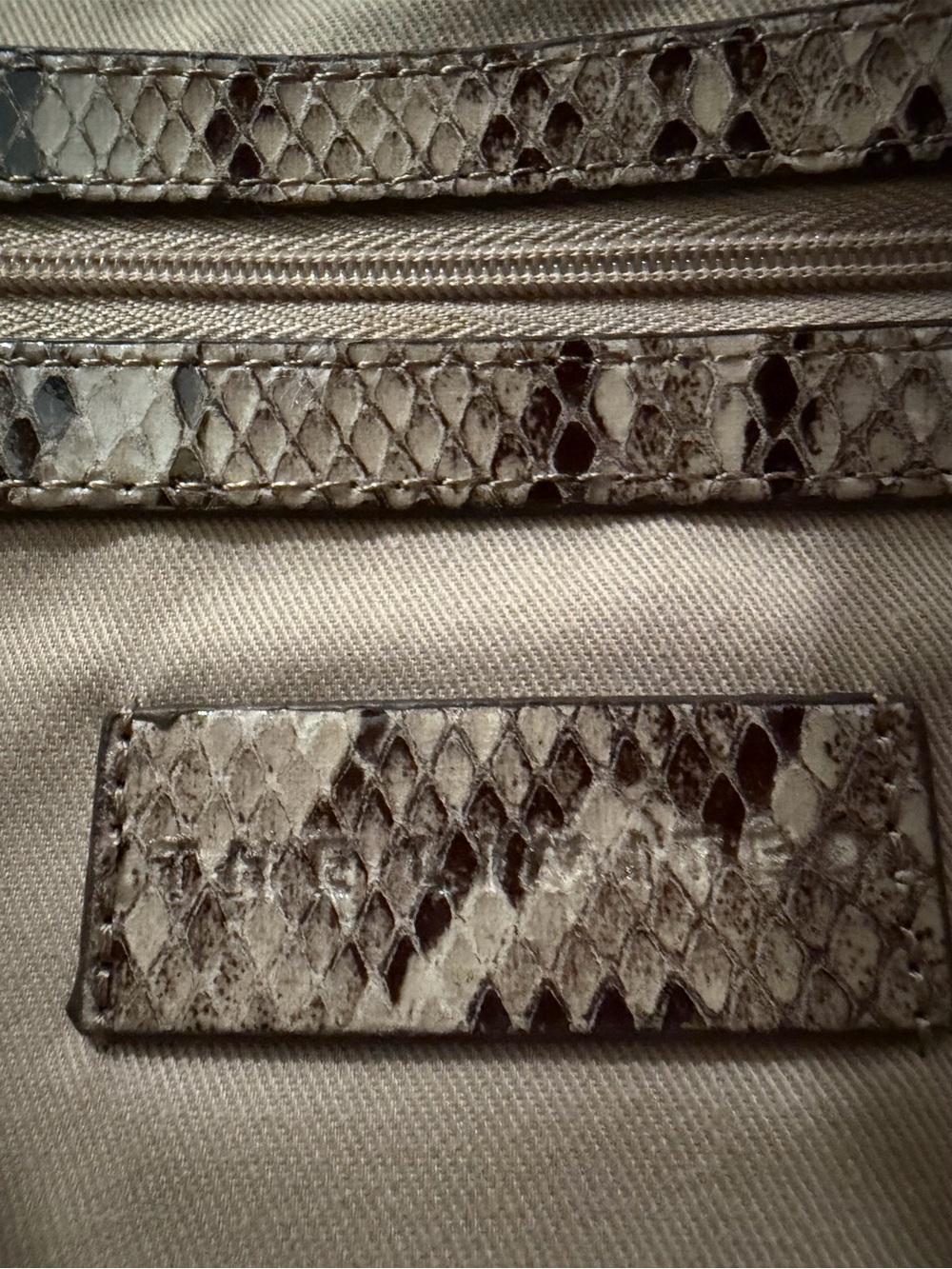 The Limited Beige Snake-Print Clutch - Picture 9 of 15